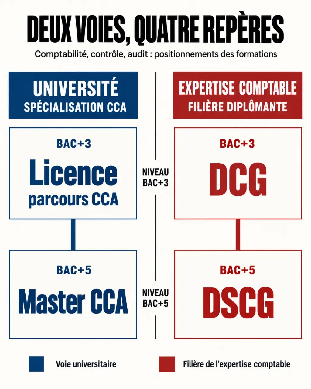 Licence CCA comparée au DCG, au master CCA et au DSCG